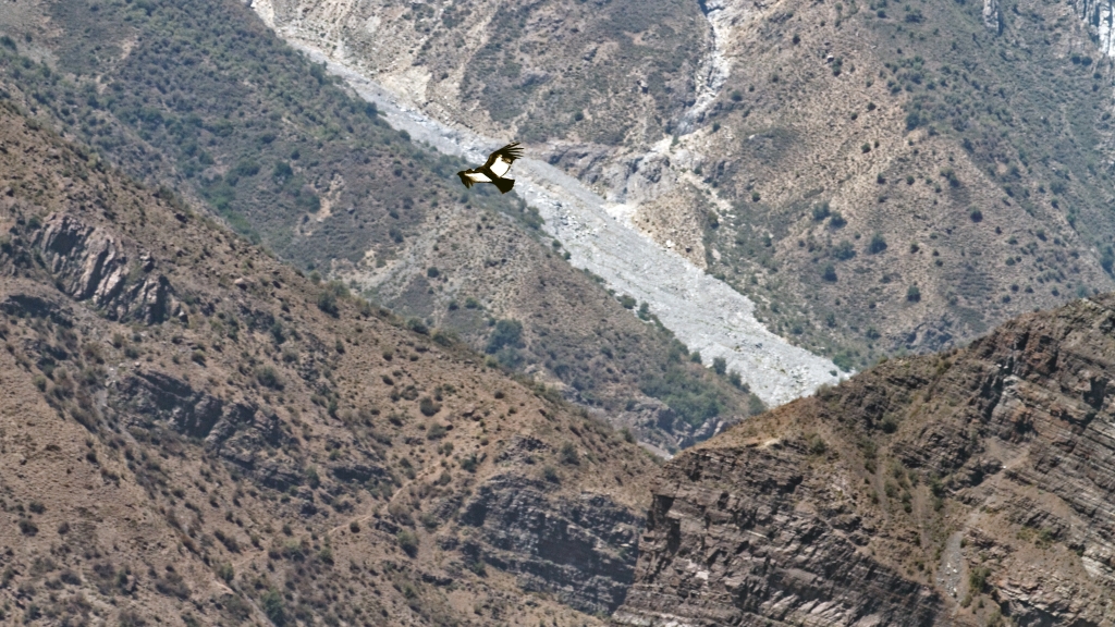 02 - Mirador de Los Condores (5).jpg